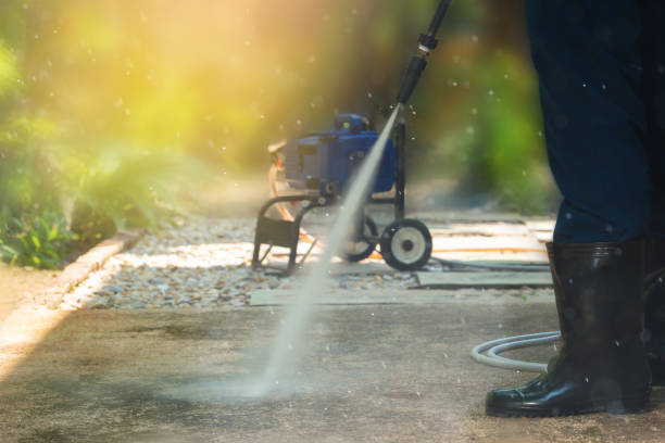 Best Driveway Pressure Washing  in Middleport, NY